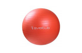 Gym Ball Orange - STANDARDS
