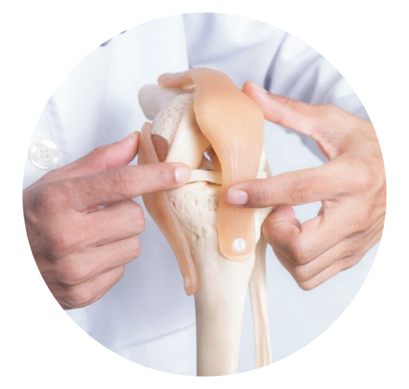 parapharmacie orthopédique Medor